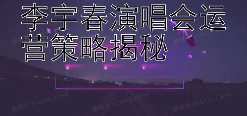 李宇春演唱会运营策略揭秘