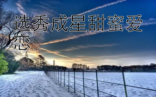 选秀成星甜蜜爱恋