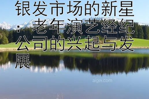 银发市场的新星：老年演艺经纪公司的兴起与发展