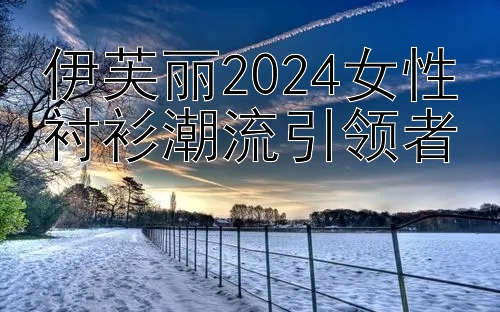 伊芙丽2024女性衬衫潮流引领者