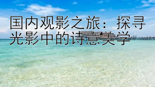 国内观影之旅：探寻光影中的诗意美学