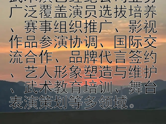 武术演艺经纪公司业务广泛覆盖演员选拔培养、赛事组织推广、影视作品参演协调、国际交流合作、品牌代言签约、艺人形象塑造与维护、武术教育培训、舞台表演策划等多领域。