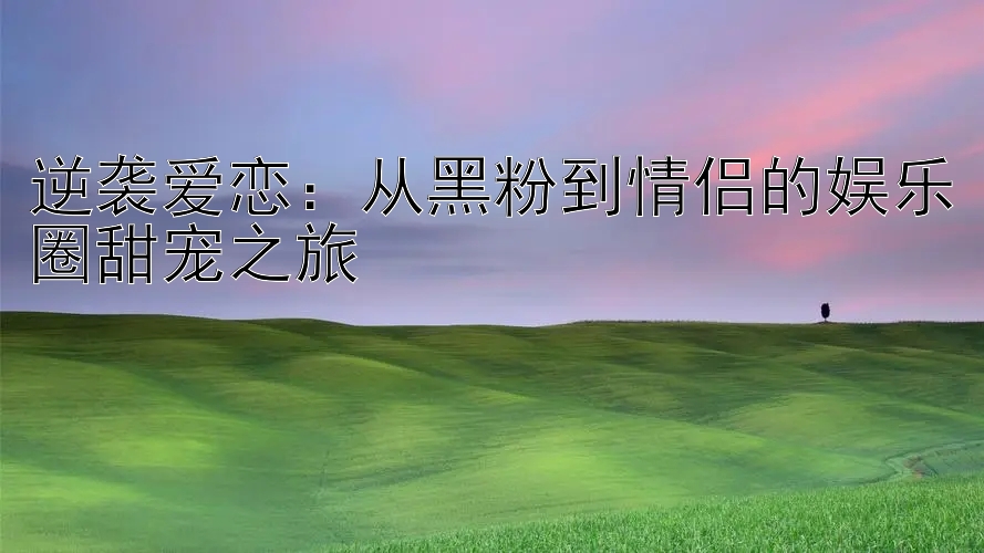 逆袭爱恋：从黑粉到情侣的娱乐圈甜宠之旅