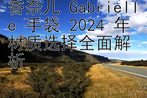 香奈儿 Gabrielle 手袋 2024 年材质选择全面解析