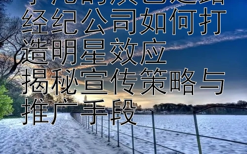 李沁的演艺之路经纪公司如何打造明星效应  
揭秘宣传策略与推广手段