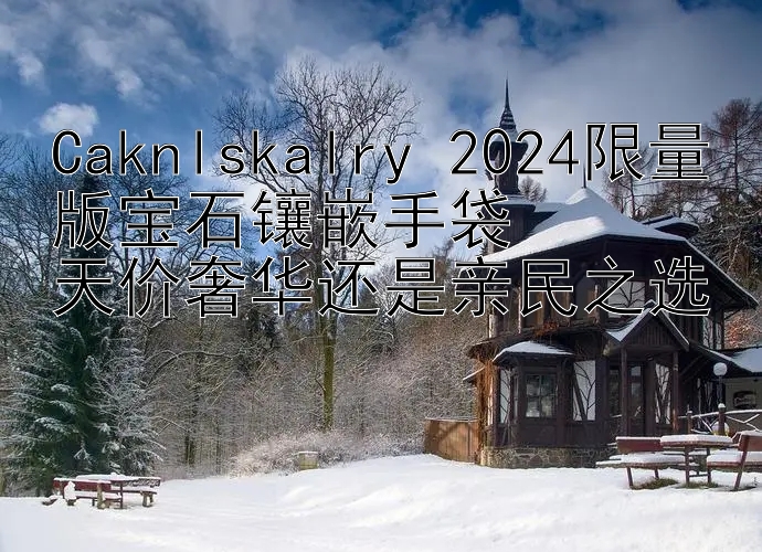 Caknlskalry 2024限量版宝石镶嵌手袋  
天价奢华还是亲民之选