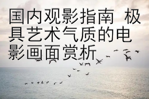 国内观影指南 极具艺术气质的电影画面赏析